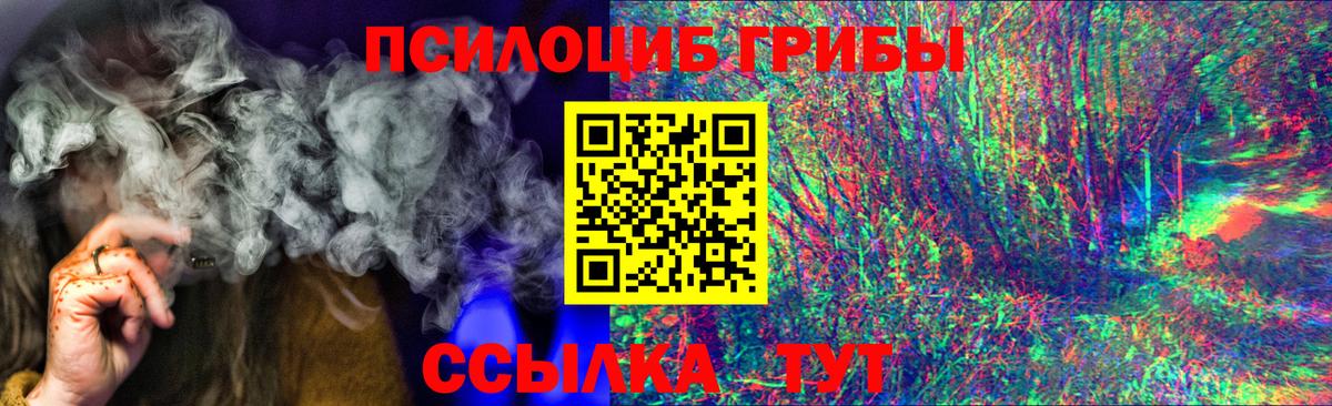 Курск  Псилоцибиновые грибы GOLDEN TEACHER  где продают наркотики  Вход с VPN 