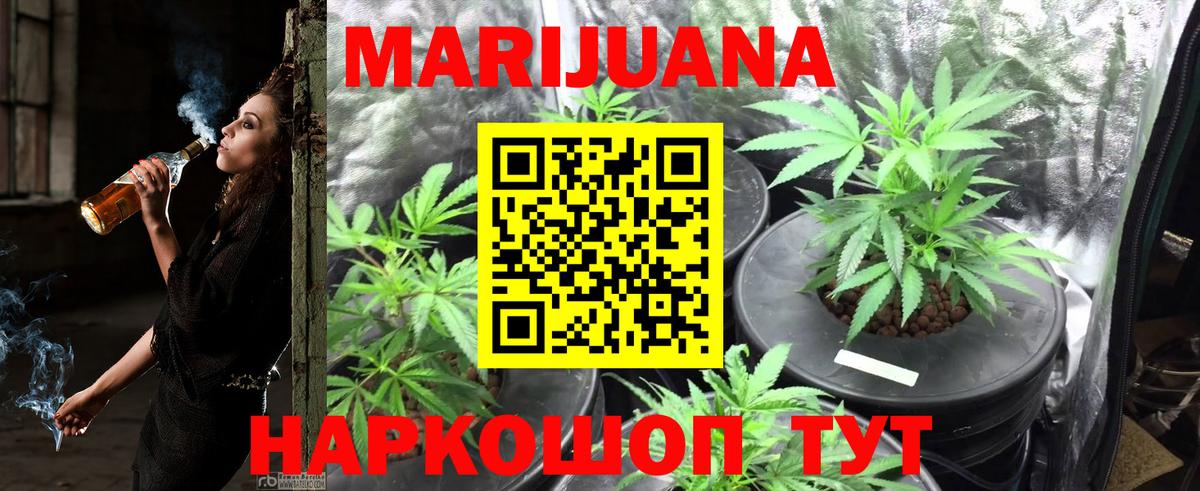 Бошки Шишки план Курск